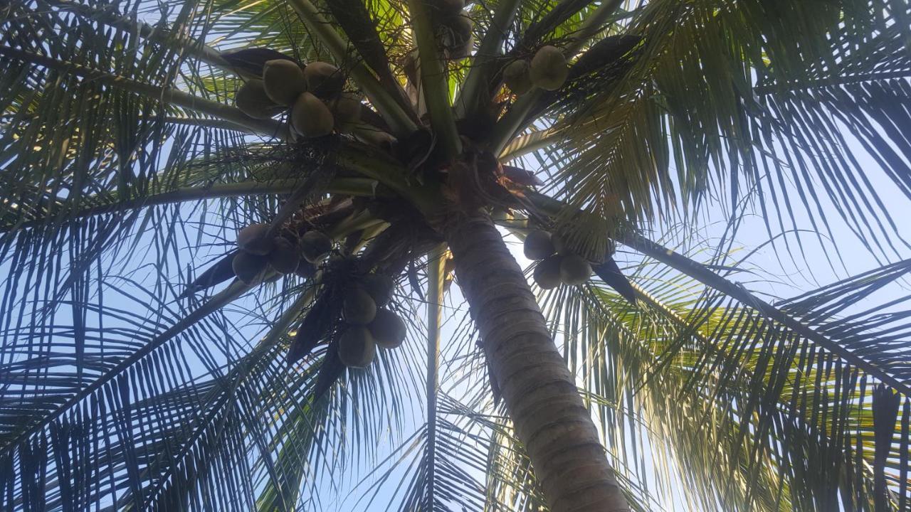 Soma Cabana, Homestay & Restaurant Tangalle Exterior photo